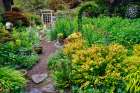 USA, Washington State, Sammamish. Garden in bloom in sunny location Art Print